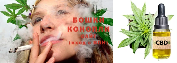 мдпв Лабытнанги