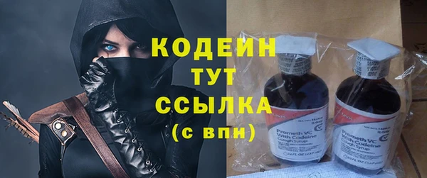 мдпв Лабытнанги
