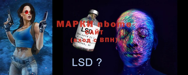 мдпв Лабытнанги