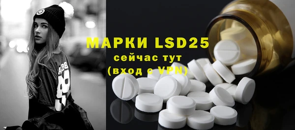 бошки Болотное