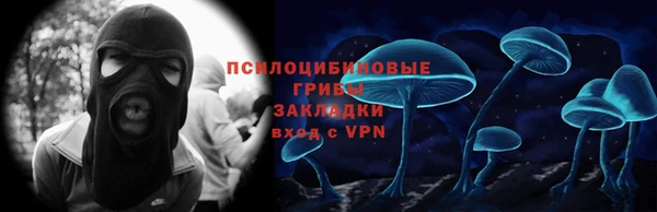 мдпв Лабытнанги