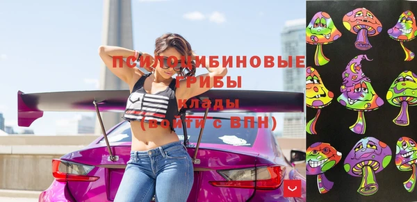 мдпв Лабытнанги